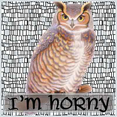horny owl