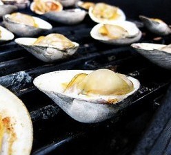 Grilled BBQ Shortneck Clams Recipe