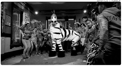 party rockin zebra