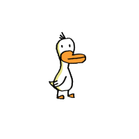 Duck gif