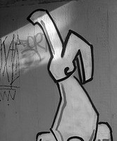 bunny gratify on a wall