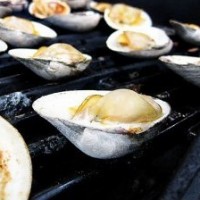 Grilled BBQ Shortneck Clams Recipe